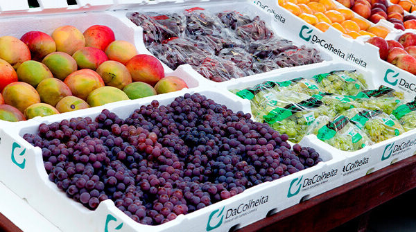 Fatores que influenciam no Shelf Life de Frutas, Verduras e Legumes