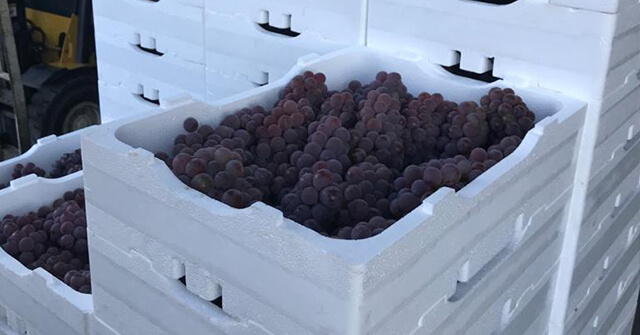 O Papel da Embalagem no processo logístico de FLVs